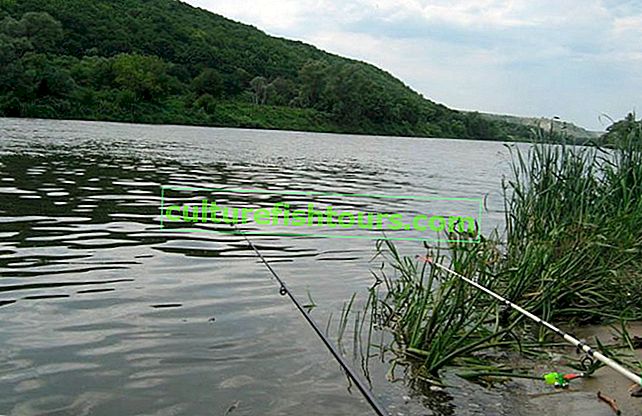 Belogorye'de balıkçılık için rezervuarlar