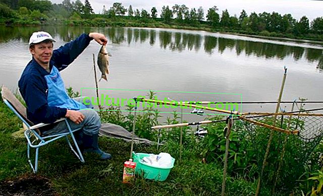 Płatne wędkowanie w regionie Perm