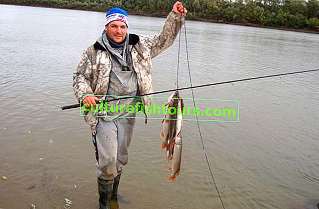 Rybaření v Molchanovu