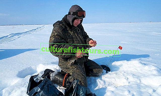 Zimní rybolov na Ob