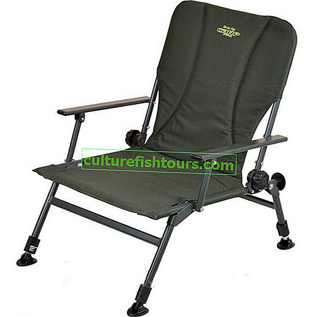 Židle-židle s opěradlem