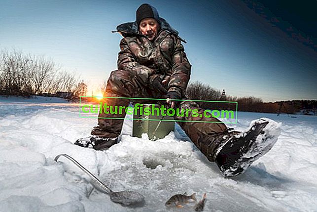 Winterköder und Feinheiten des Fischens mit einer Schablone