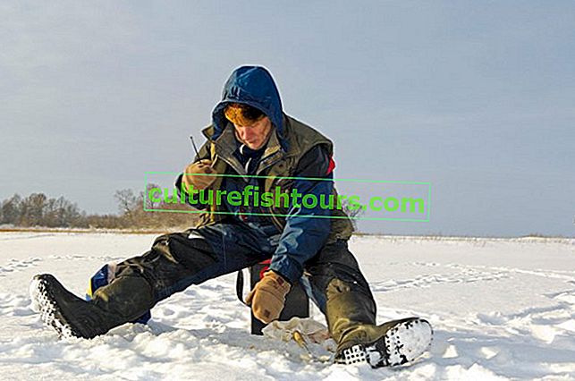 Риболов на костур на балансьор през зимата