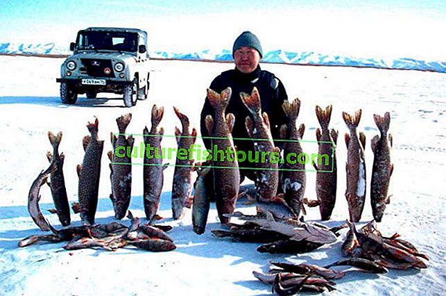 Rybaření na Bajkalském jezeře v zimě
