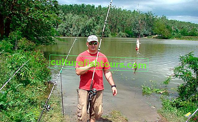 Rybaření na řece Kuban