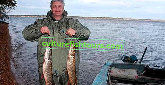 Yauzskoye rezervuarında balık tutma