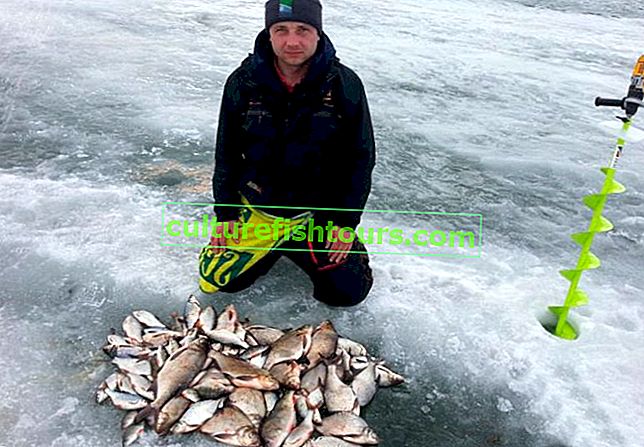 Kışın balık tutmak