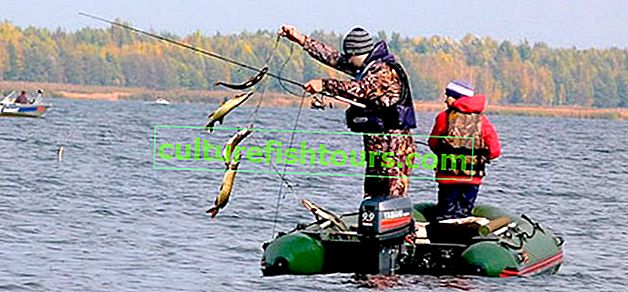 Krasnoyarsk denizinde balık tutma