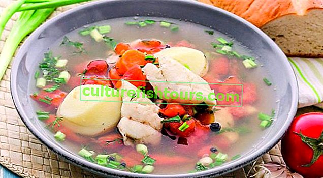 Balık çorbası nasıl düzgün pişirilir - tarifler ve ipuçları