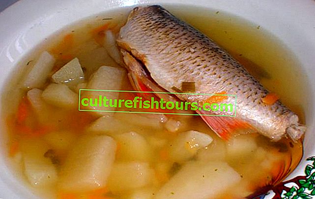 Как да готвя рибна супа правилно