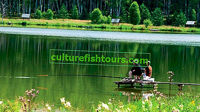 Nizhny Novgorod bölgesinde balık tutma