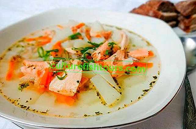 Рецепти за вкусна рибена супа от сьомга