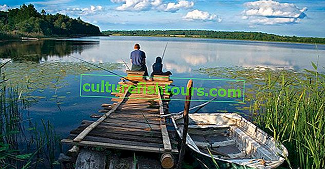 Rybářské rybníky v oblasti Belgorod