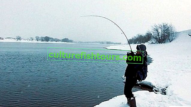 Риболовля в грудні на відкритій воді
