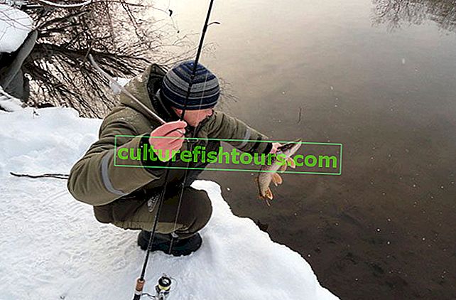 Rybaření na otevřené vodní štiky v zimě