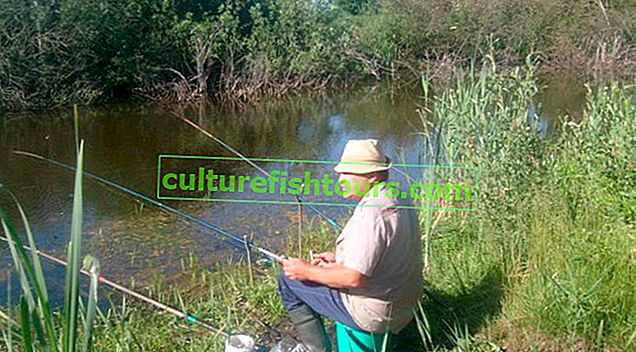 Ribolov u regiji Brest (Bjelorusija)