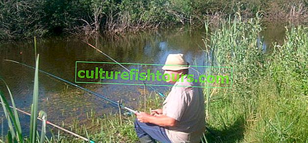 Rybaření v Brestské oblasti (Bělorusko)
