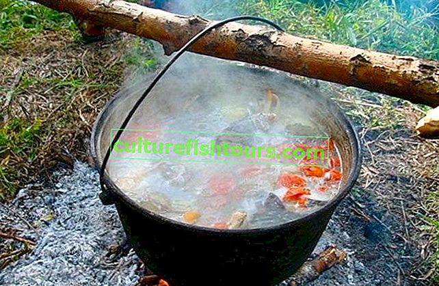 Pstruhová rybí polévka na ohni