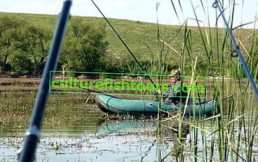 Риболовля в Рубцовську і його околицях