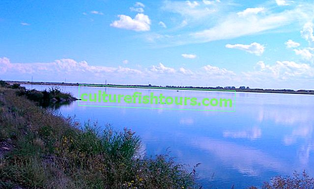 Jezioro Rakita