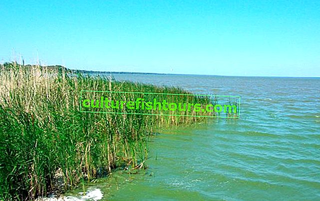 Jezioro Yegoryevskoe