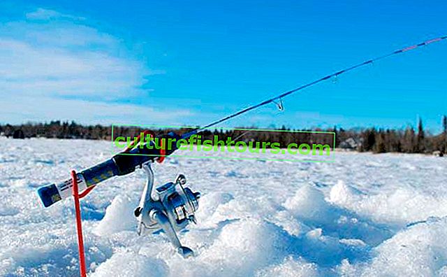 Zimski ribolov u regiji Karaganda