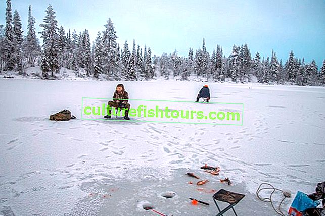 Зимен риболов в Коми