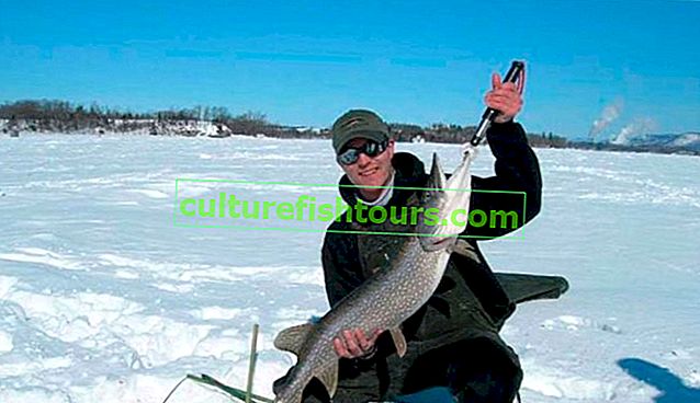Rybaření v Bashkiria v zimě