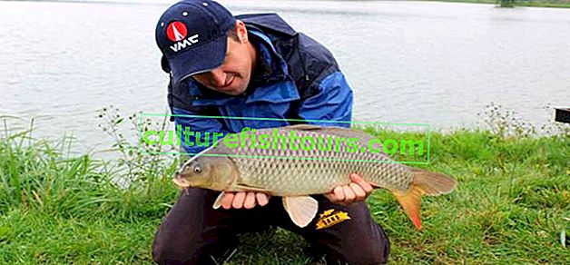 Риболов в територията на Ставропол