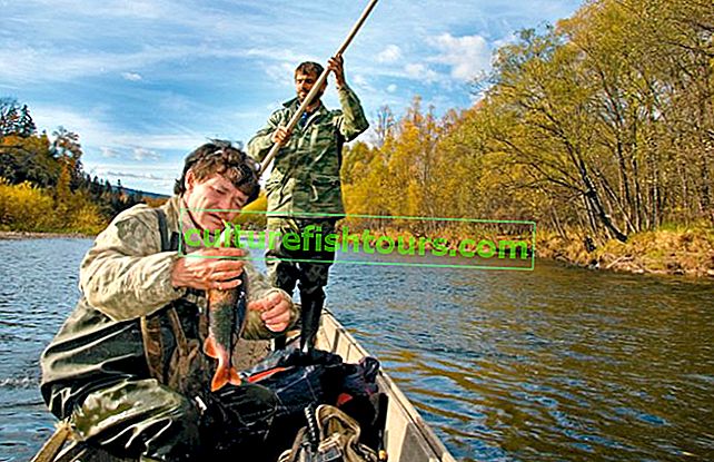 Риболовля восени