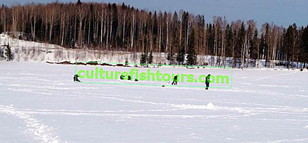 Perm bölgesinde kış balıkçılığı