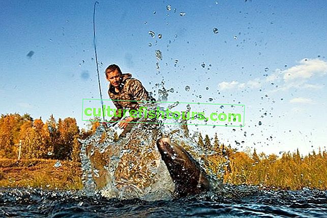 Turna balıkçılığı
