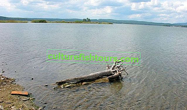 Jezero Chebarkul