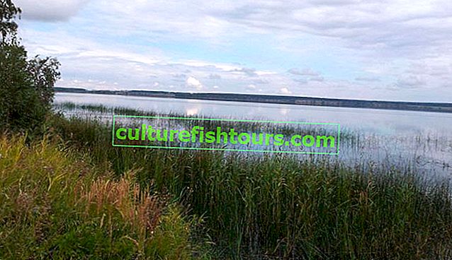 Езерото Алабуга