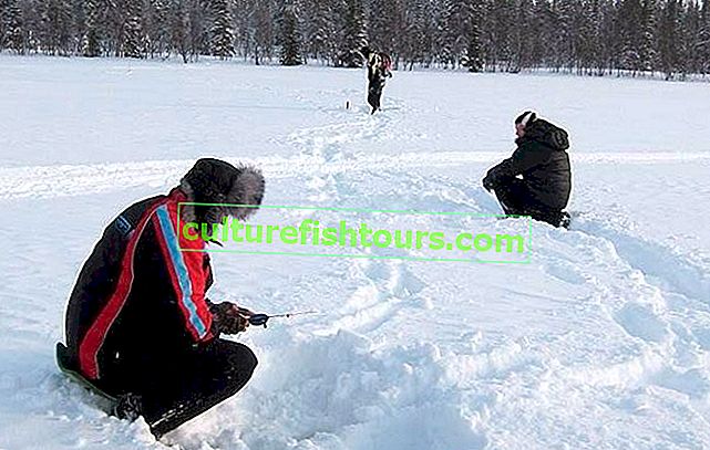 Техника и тактика на зимния риболов на сиг