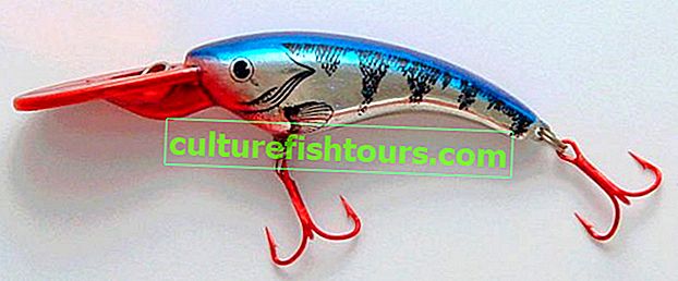 Lure Reef Runner Rip от Shad 