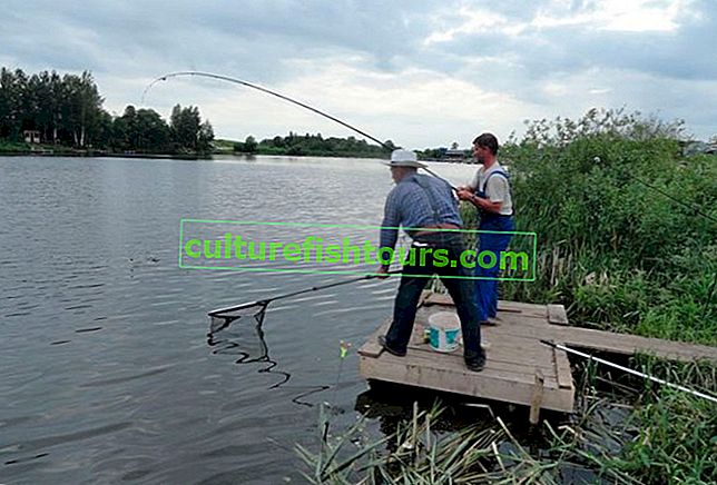Savelyevo'da balık tutma