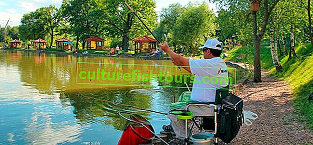 Платен риболов в Московска област