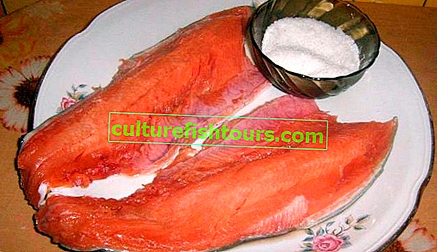 Eine einfache Technik zum Salzen von rosa Lachsfleisch