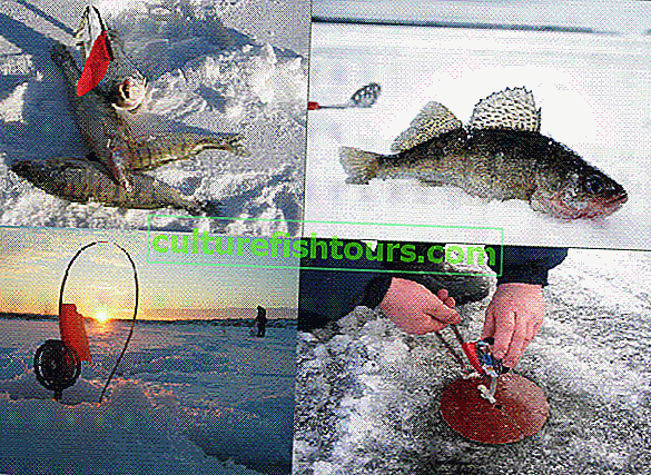Łowienie sandaczy na sandaczach zimowych