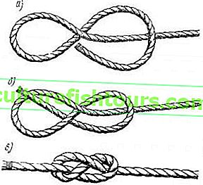 Abbildung acht Knoten