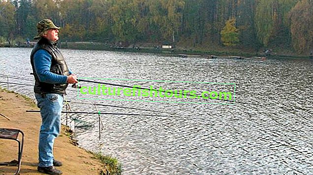 Техніка лову риби
