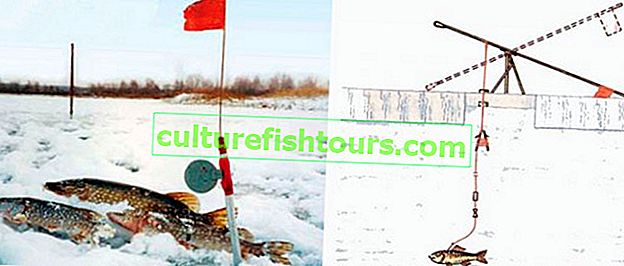 Zimski ribolov štuka sa zastavama