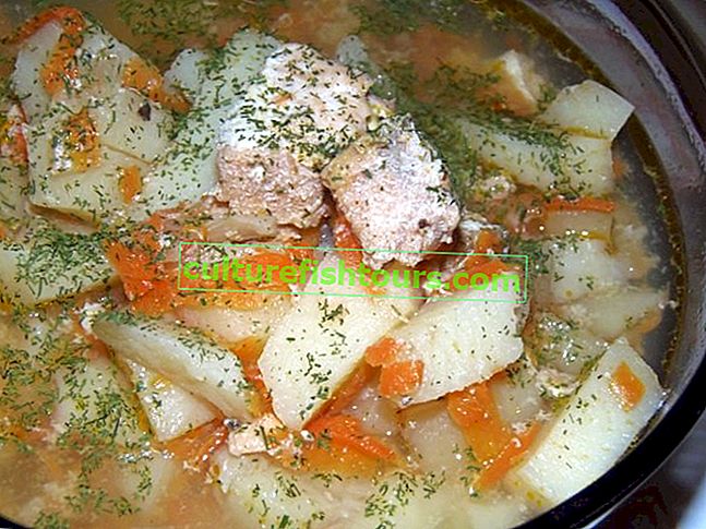 Fischsuppe in einem Slow Cooker