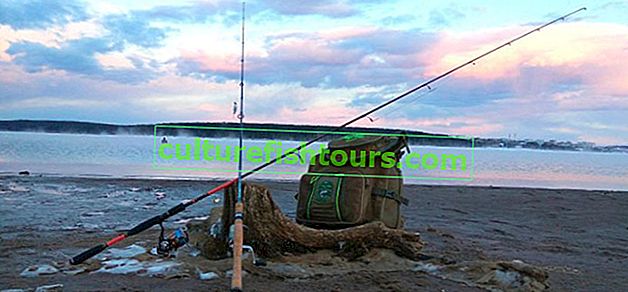 Perm bölgesinde balıkçılık